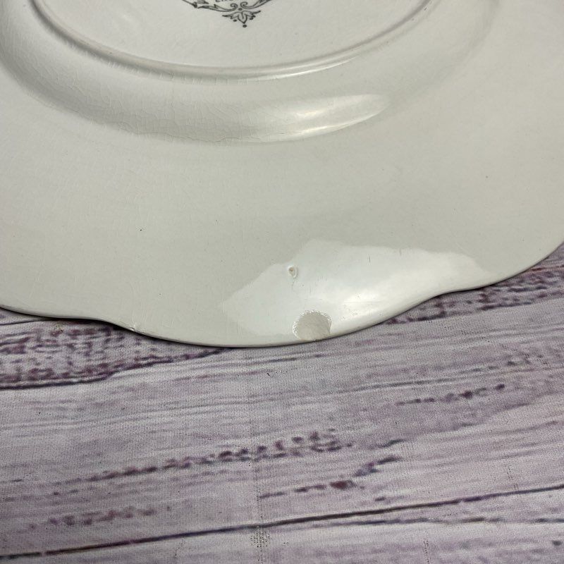 J&G Meakin 3 Pc. Forget Me Not 10" Floral Rim White Porcelain Dinner Plate Set