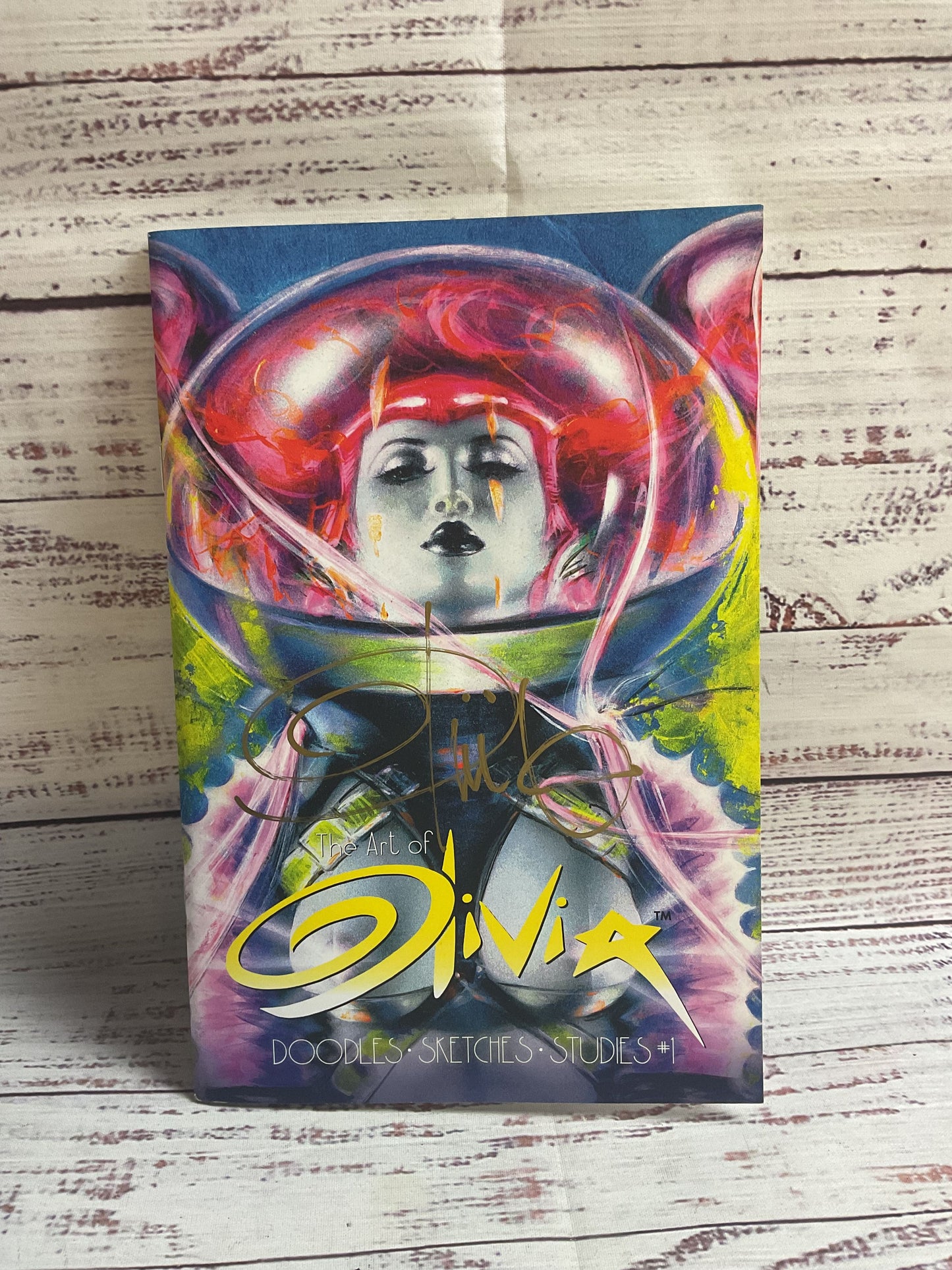 The Art Of Oliva Doodles Sketches Studies 1 Art Book Olivia Pinup