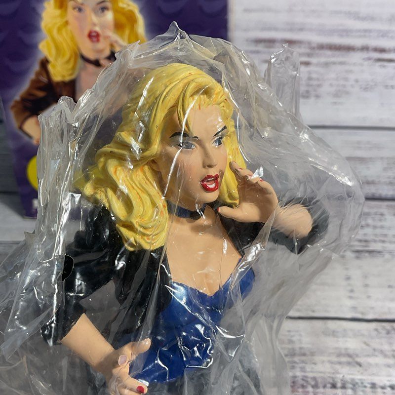 DC Direct Mini Busts Black Canary Super Sonic Siren Cold Cast Porcelain Figure