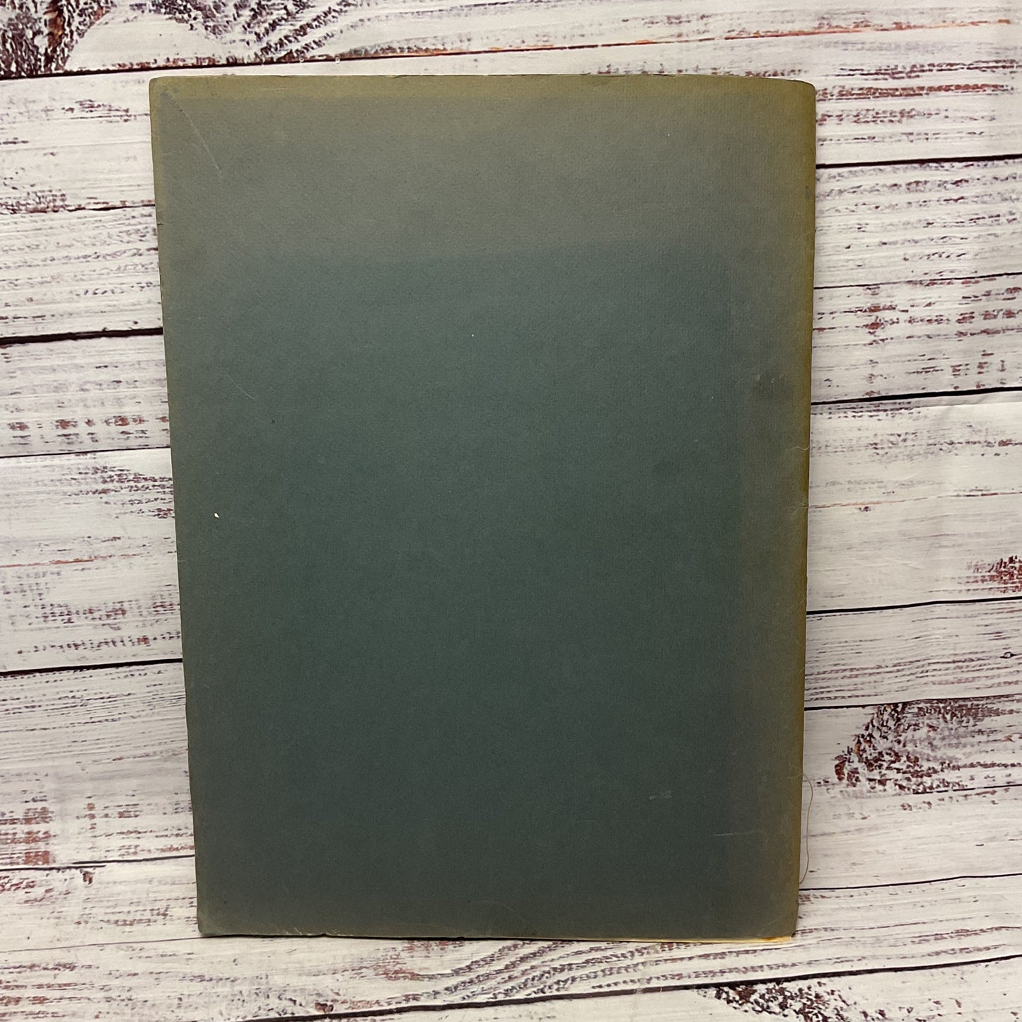 Basho Haiku Poetry Book 1972 Shinji Okamura Translated By Robert Bly