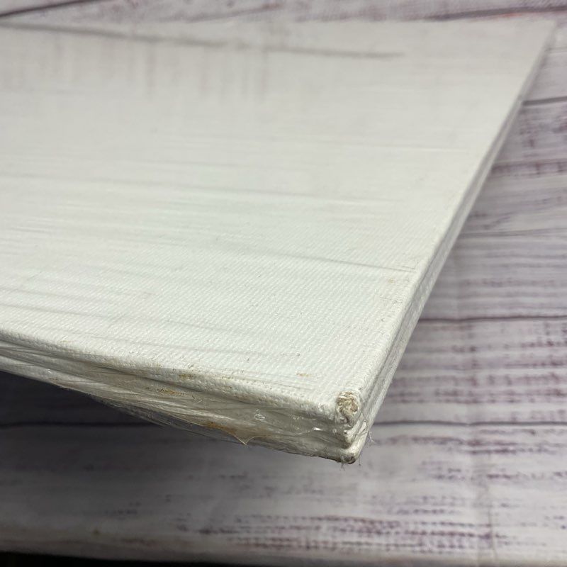 Aaron Brothers Artist's Canvas 16 In. X 20 In. Gesso Primed Duck Cotton Panels