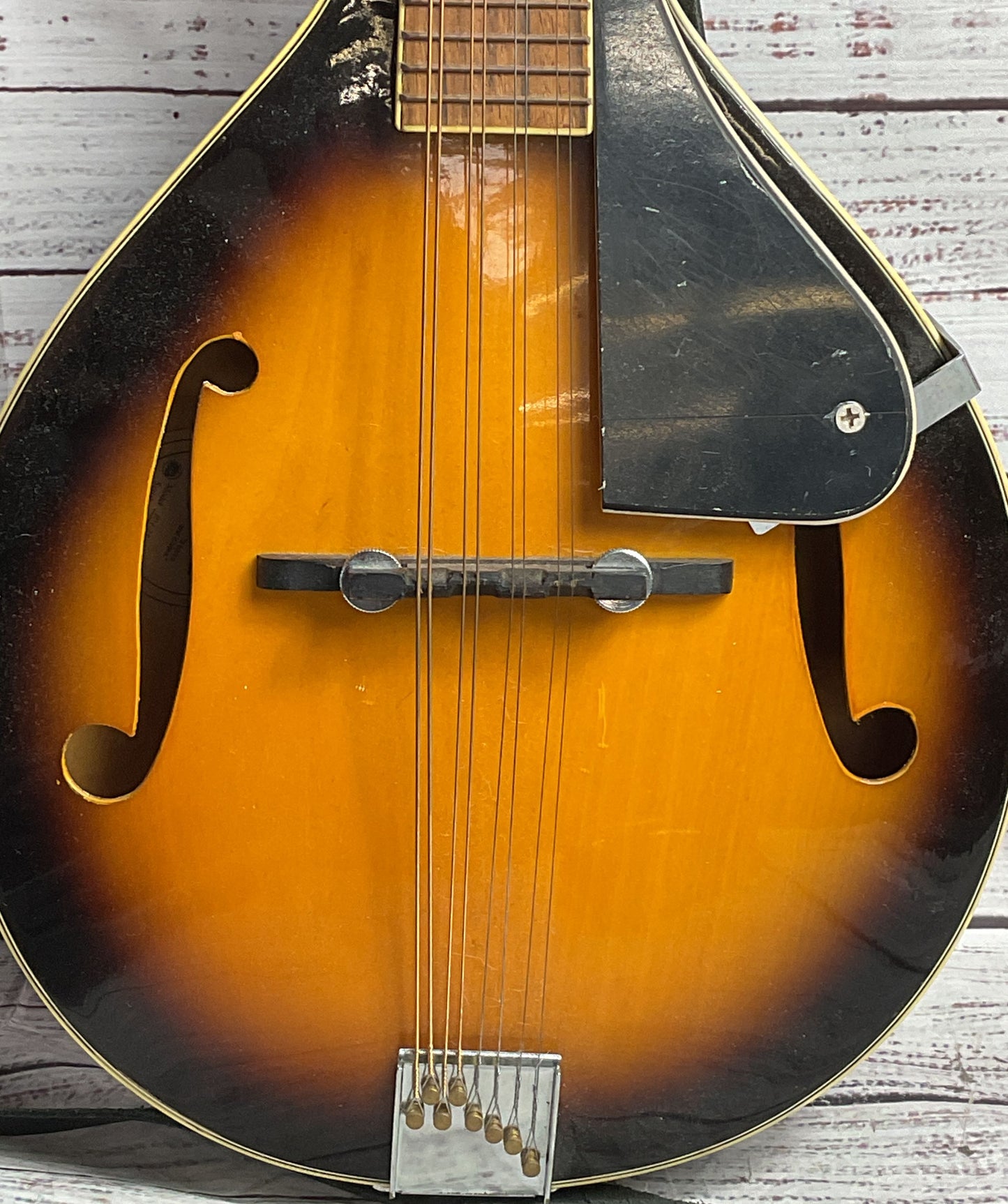 Rover RM-25 Student A-Model Mandolin Sunburst
