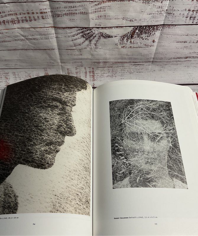 The Radical Eye: Modernist Photography... By Shoair Mavlian Paperback / Softback
