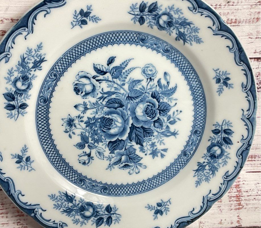 Lipper & Mann Blue Rose 8.5" Set of 2 Salad Plates Multicolor