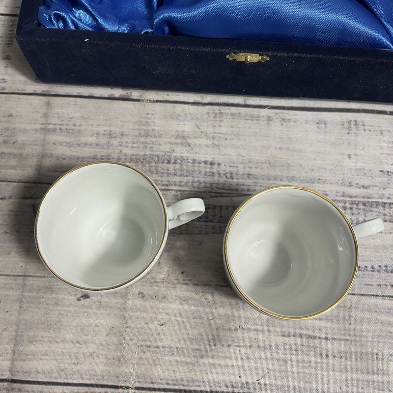 Kutahya Turkish Porcelain 4 Pc. Hand Painted Floral Tea Cup & Saucer Set w/ Case