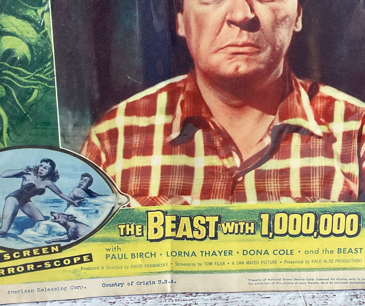 Vintage Beast With 1,000,000 Eyes Paul Birch Lorna Thayer Original Movie Poster