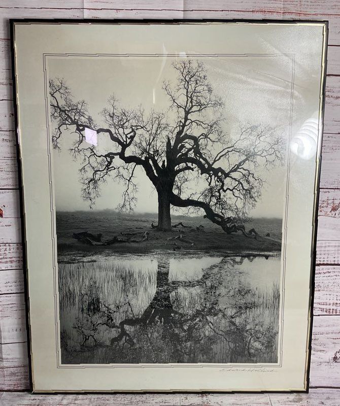 Lonely Tree Framed Print Signed by Edward Holland