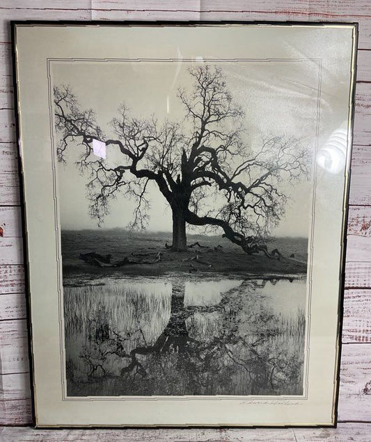 Lonely Tree Framed Print Signed by Edward Holland