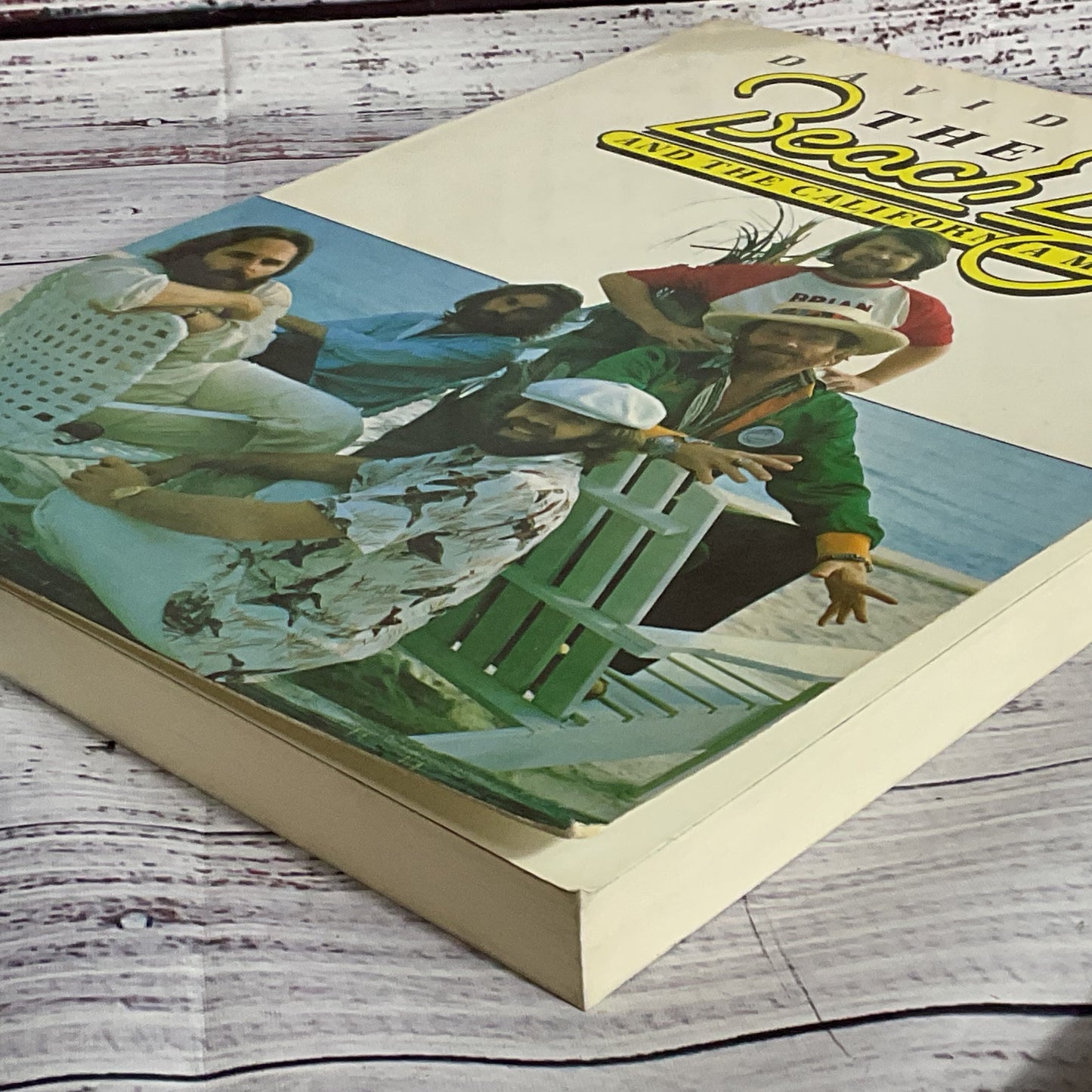The Beach Boys and the California Myth by David Leaf (1 of 2)