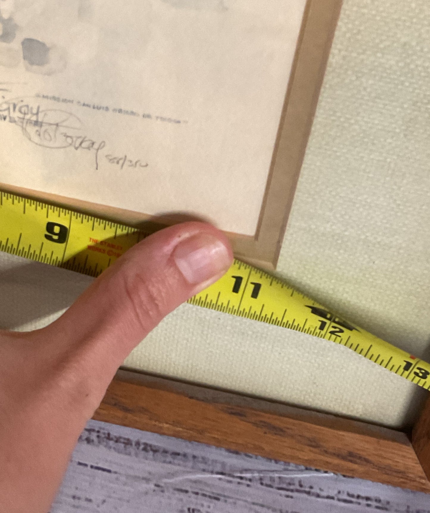 Limited Edition Signed Lithograph Print by Robert Gray Framed with COA 88/350