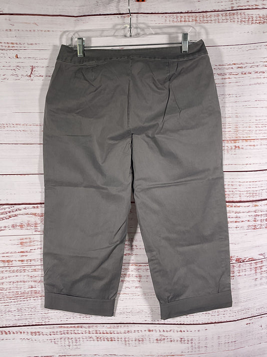 Eileen Fisher Gray Capri Pants NWT - Size Petite M