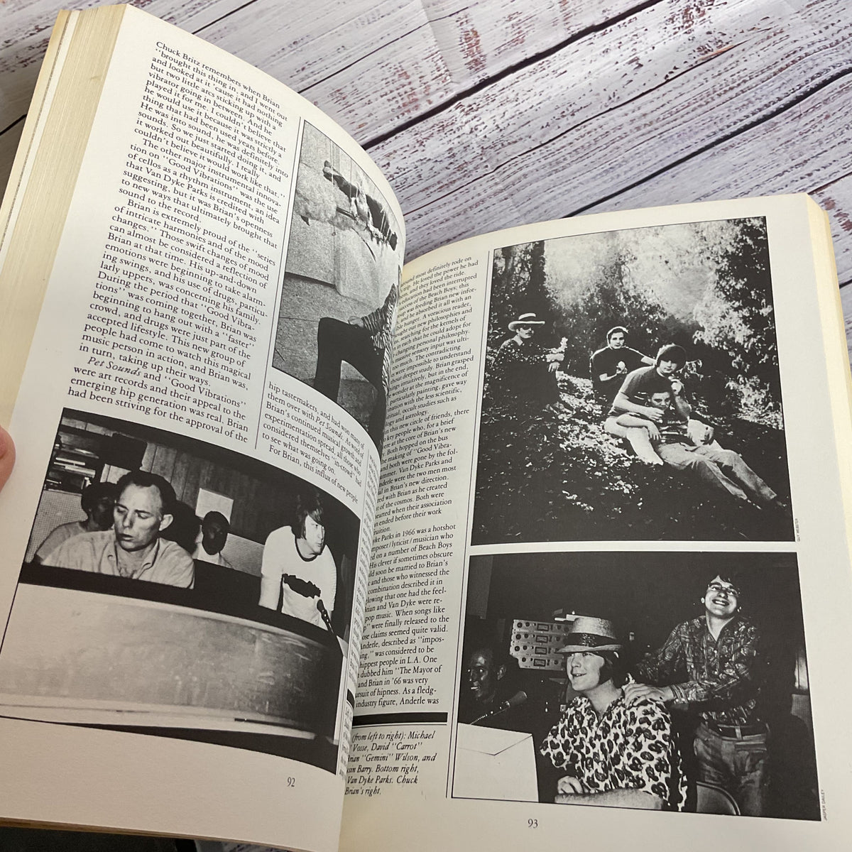 1978 The Beach Boys and the California Myth by David Leaf (2 of 2)