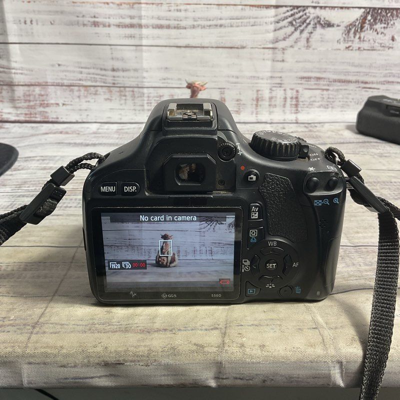 Canon EOS Rebel T2i Digital SLR Camera Body Only DS126271