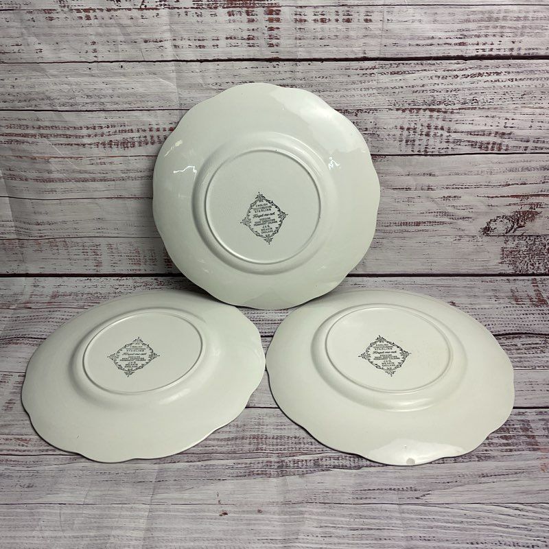 J&G Meakin 3 Pc. Forget Me Not 10" Floral Rim White Porcelain Dinner Plate Set