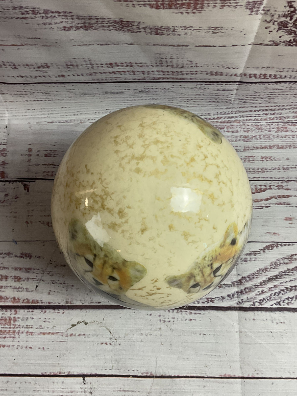 Ostrich Egg Cheetahs Hand Painted No Base 6.5"