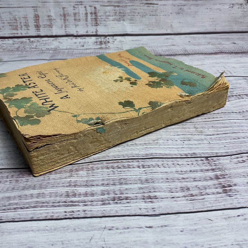 White Aster: A Japanese Epic Poem On Crepe Paper By Dr. K. Florenz 1897