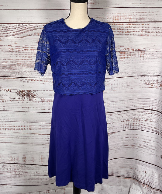 Escada Ebekka Lace Top Midi Dress Bluebell 40