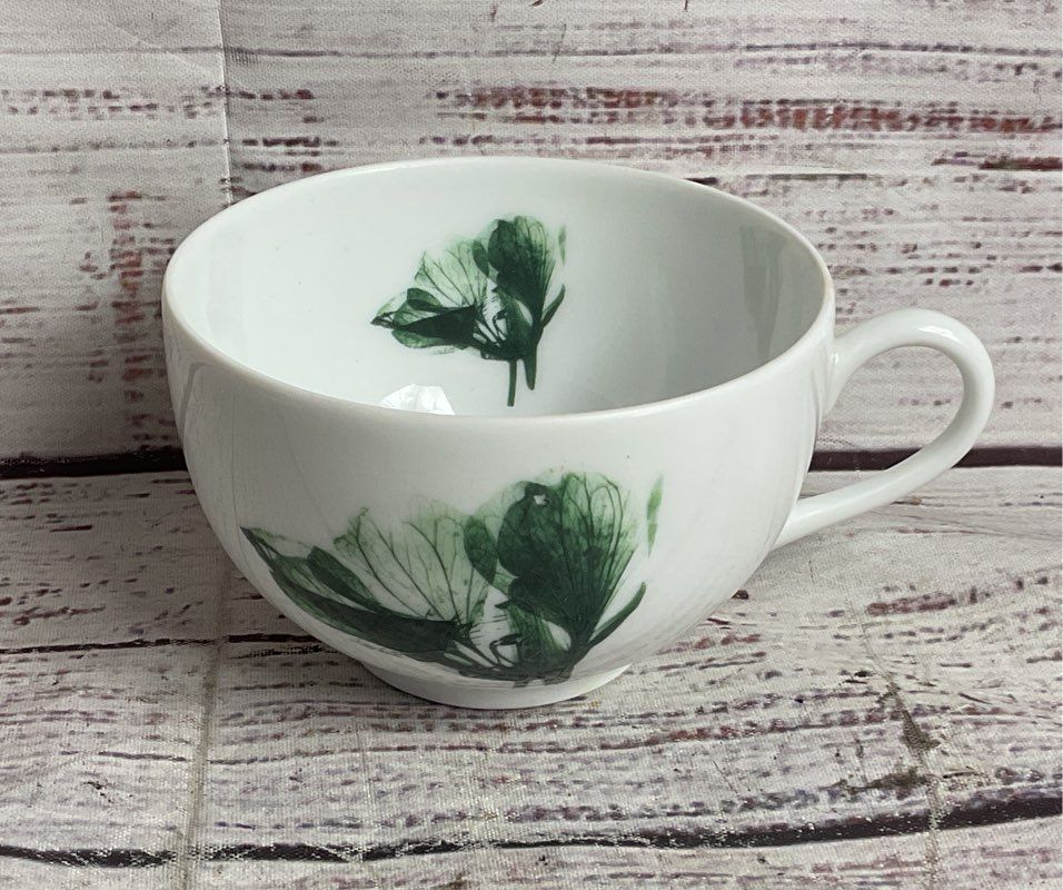 Contre Jour by Raynaud Limoges Floral Tea Cup Saucer Salad Plate White Green