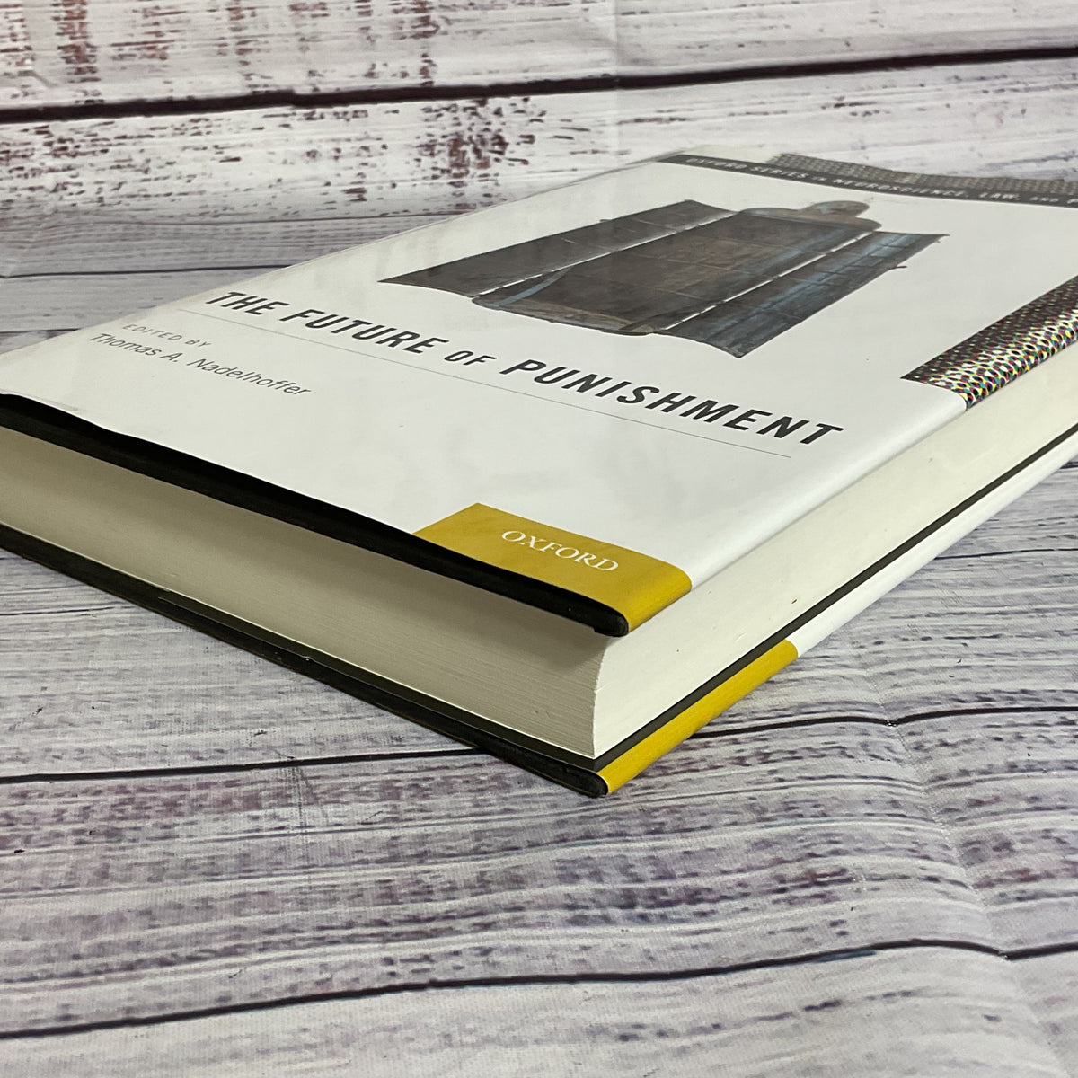 The Future of Punishment by Thomas A. Nadelhoffer- Oxford Series