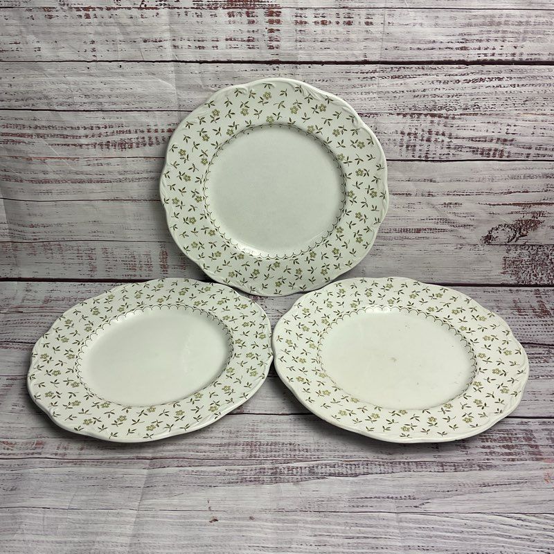 J&G Meakin 3 Pc. Forget Me Not 10" Floral Rim White Porcelain Dinner Plate Set