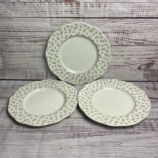 J&G Meakin 3 Pc. Forget Me Not 10" Floral Rim White Porcelain Dinner Plate Set