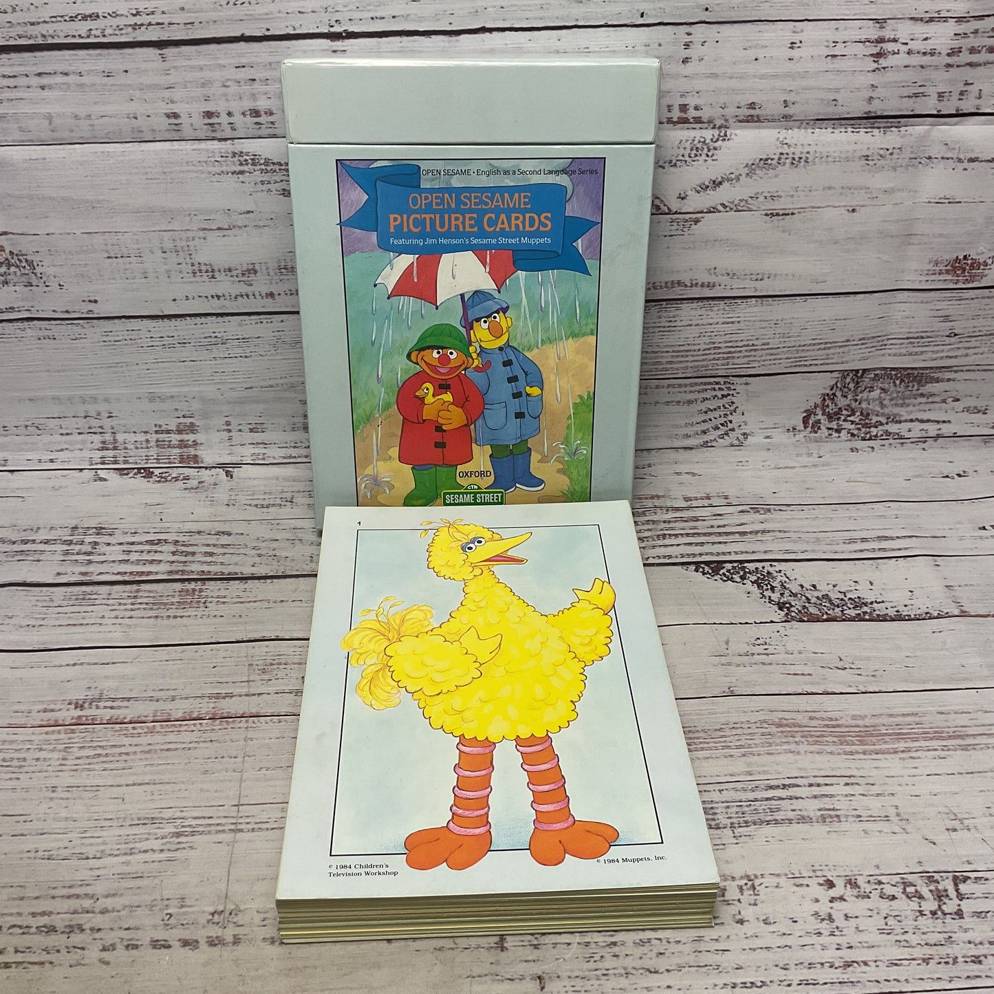 Sesame Street Large Picture Cards English As Second Language 75 Cards