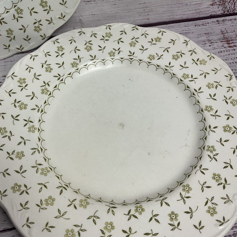 J&G Meakin 3 Pc. Forget Me Not 10" Floral Rim White Porcelain Dinner Plate Set