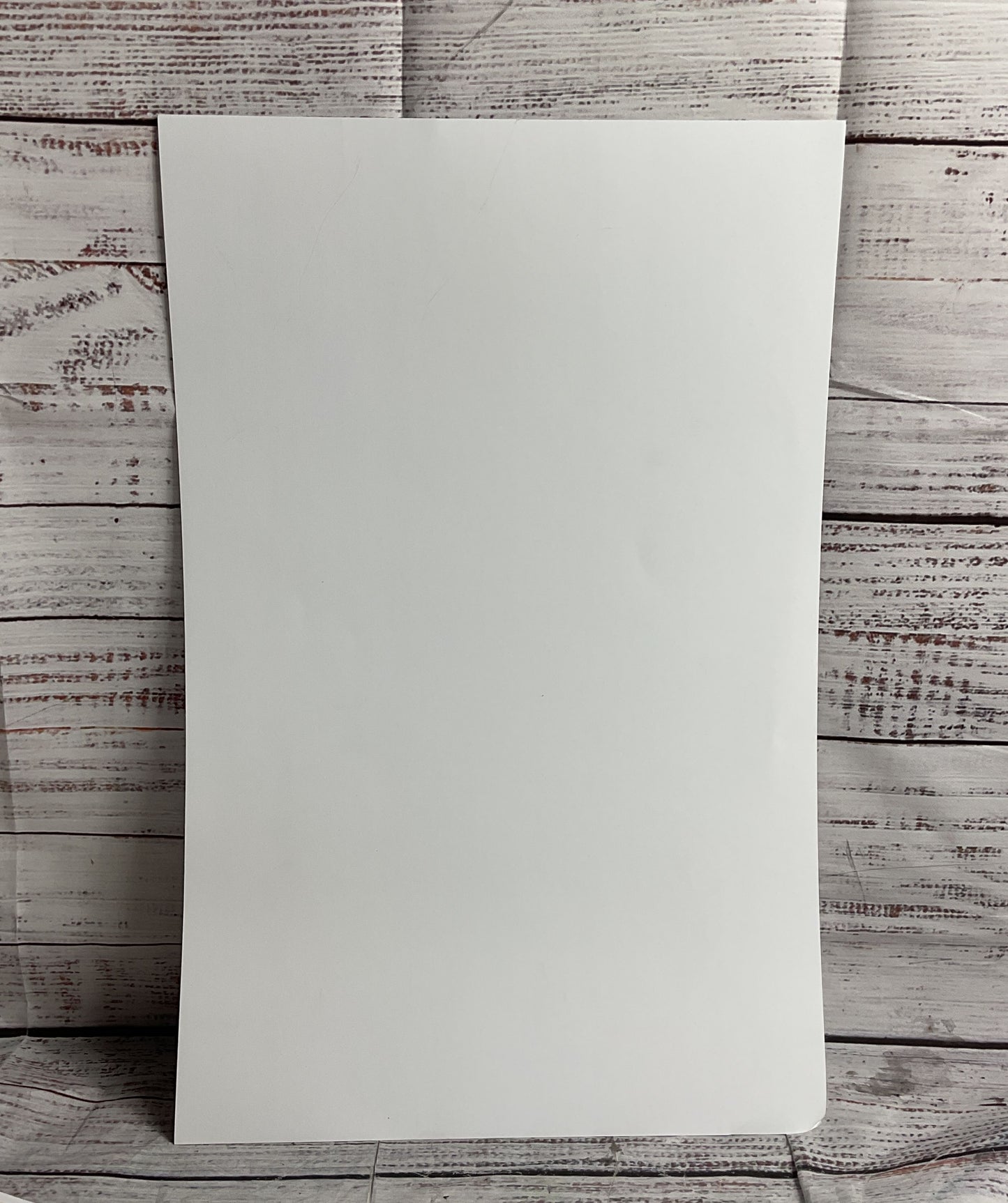 Black Cat Superior Spiderman Print Autographed By J Scott Campbell