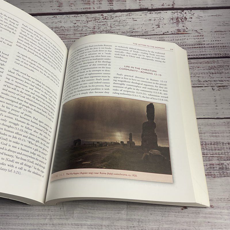The Writings Of The New Testament Luke Timothy Johnson 3rd Edition Softcover