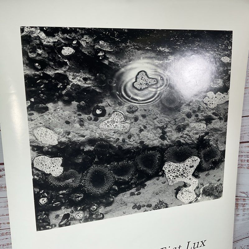 VTG. 90s Ansel Adams Tide Pool (1966) Fiat Lux Museum Set 56" Poster