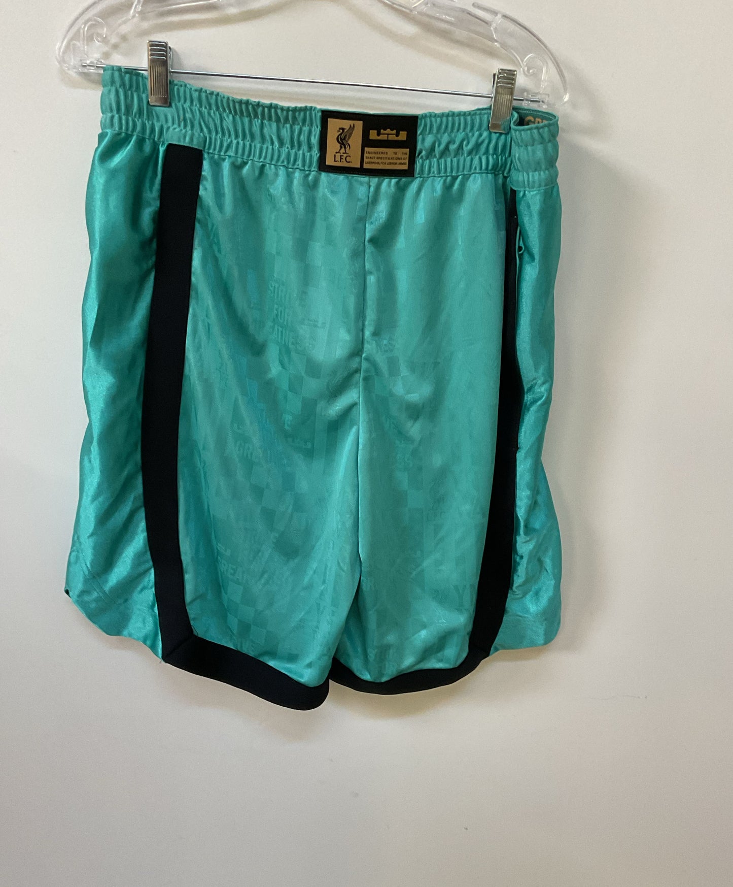NWT Men's Nike LFC Green Shorts Size L