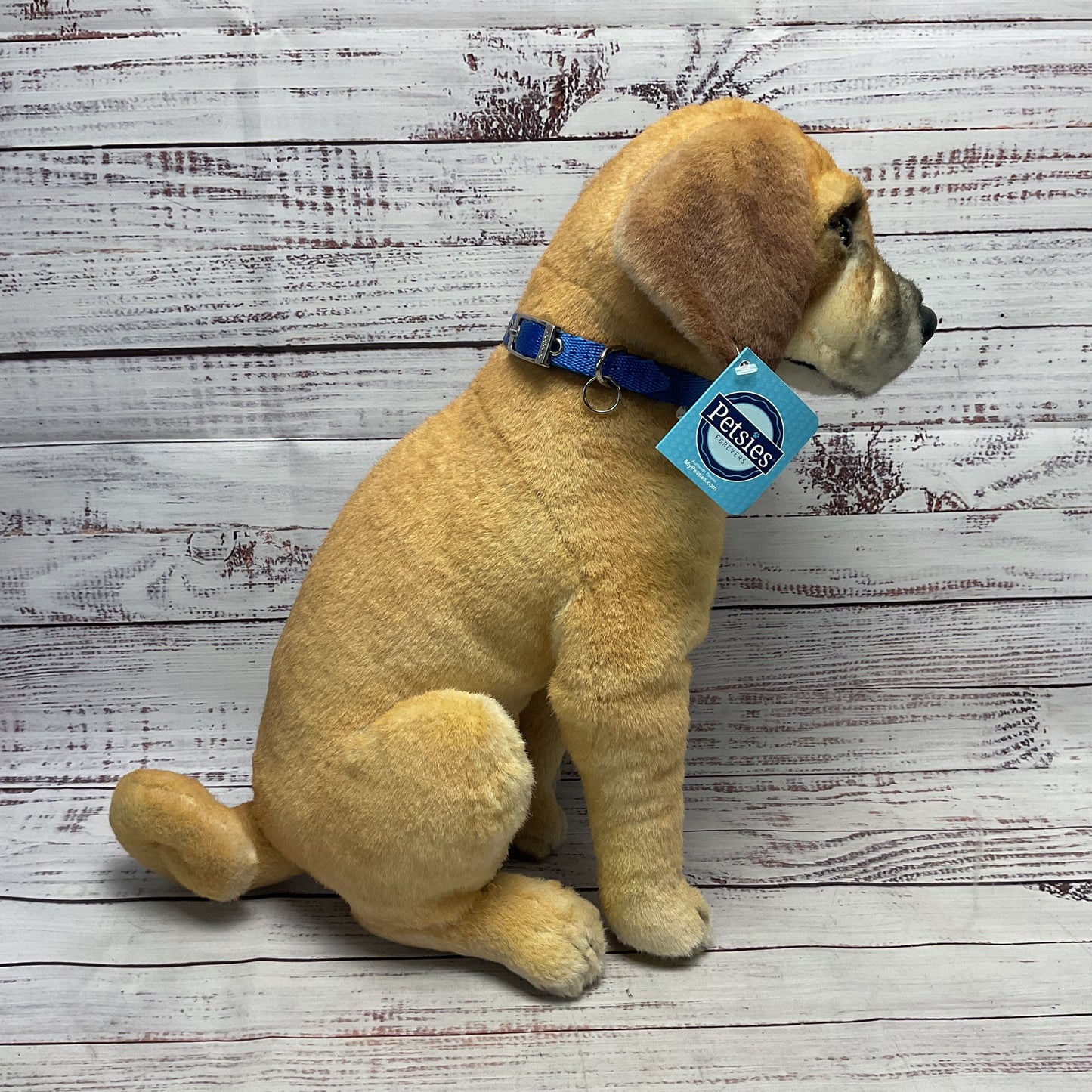 Petsies Custom Dog Stuffed Animal 15" Blue Dog Collar