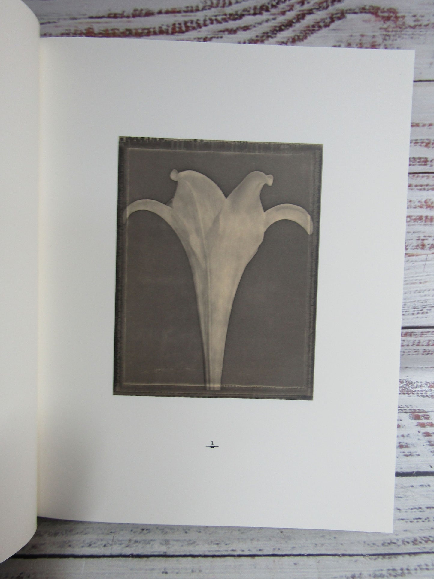 Tom Baril Photography Book Limited Edition