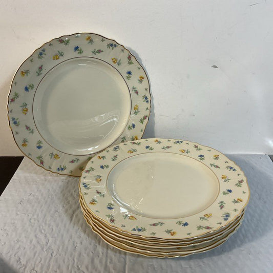 VTG. FEDERAL SHAPE Syracuse "Suzanne" Floral 10" Dinner Plates- Set of 6