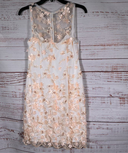 NWT Adrianna Papell Ivory & Blush Floral Embroidery Dress Size 4 Retail $179