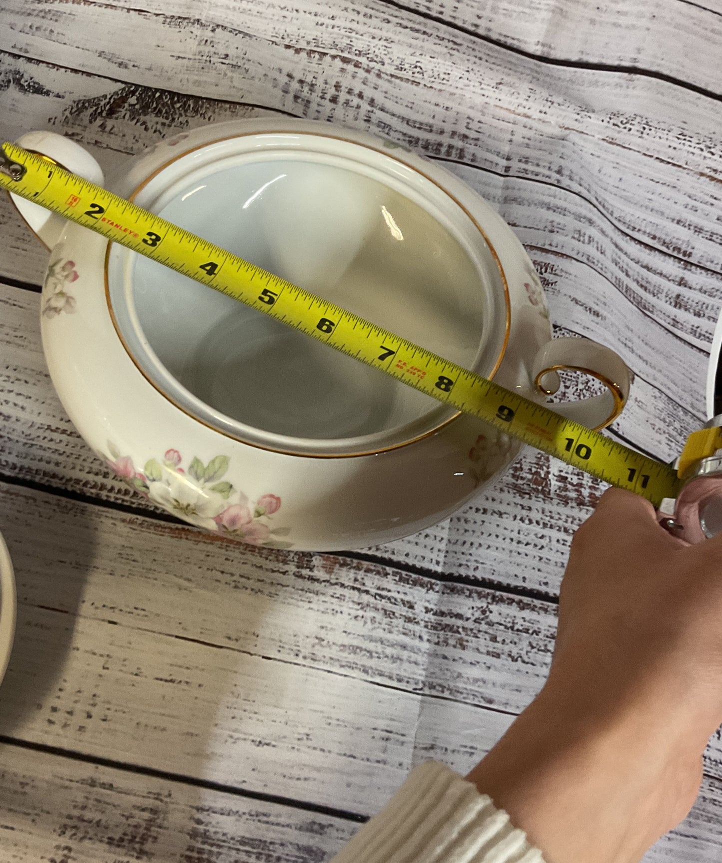 Vintage Tirschenreuth Bavaria Apple Blossom Porcelain Soup Tureen Germany