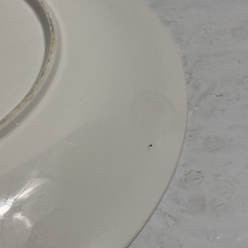 Set of 9 Gibson Olive Orchard 10" Dinner Plates