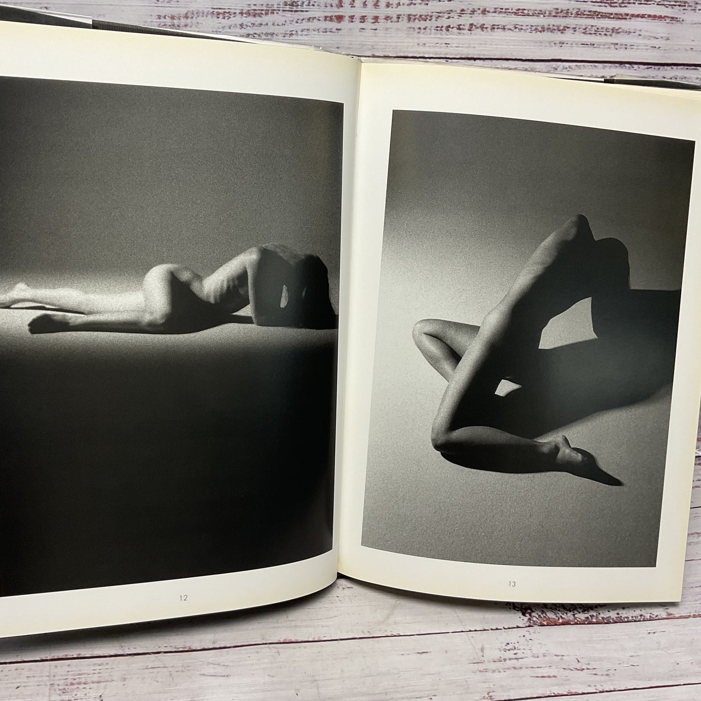 Nudes And Portraits Hardcover Art Photography Book By Gordon Thye