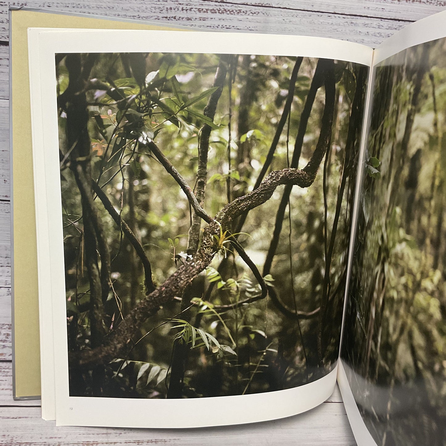 Mona Kuhn: Native Hardcover Photography Book