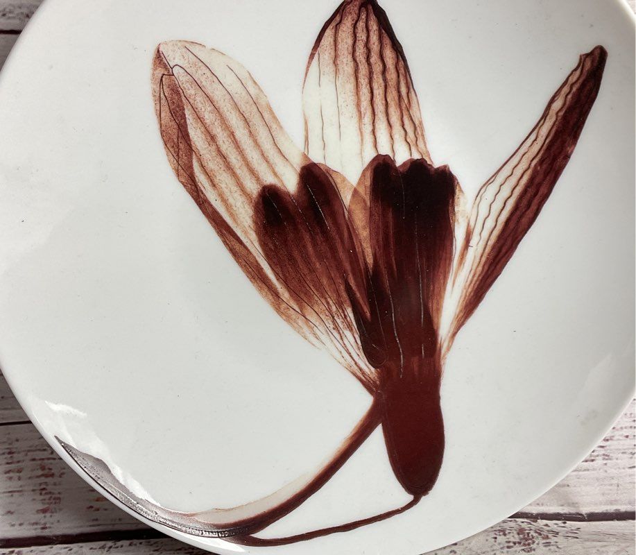 Contre Jour by Raynaud Rydcont Flower 10.5" Dinner Plate White Brown
