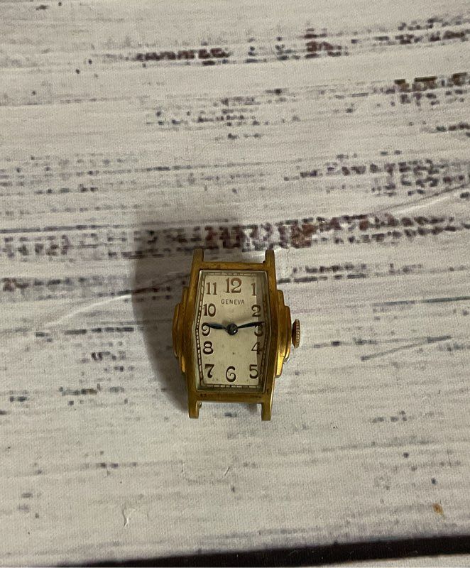 Geneva Warwick Gold Tone Stainless Steel Vintage Watch Case Swiss
