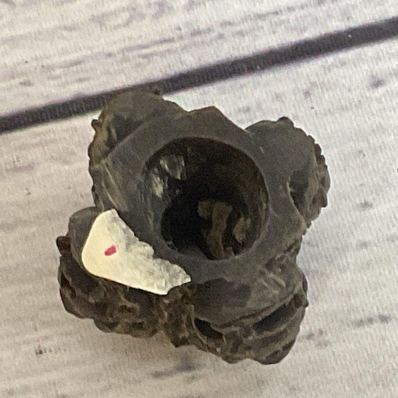 ANTIQUE Japanese Black Wood Carved Masks Figurine Display Stand- 1.25"