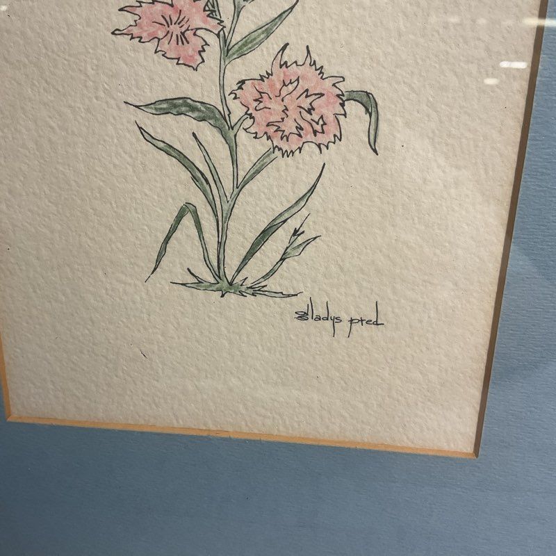 VTG. Pink Carnations Original Drawing by Gladys Pred 15" Signed, Matted & Framed