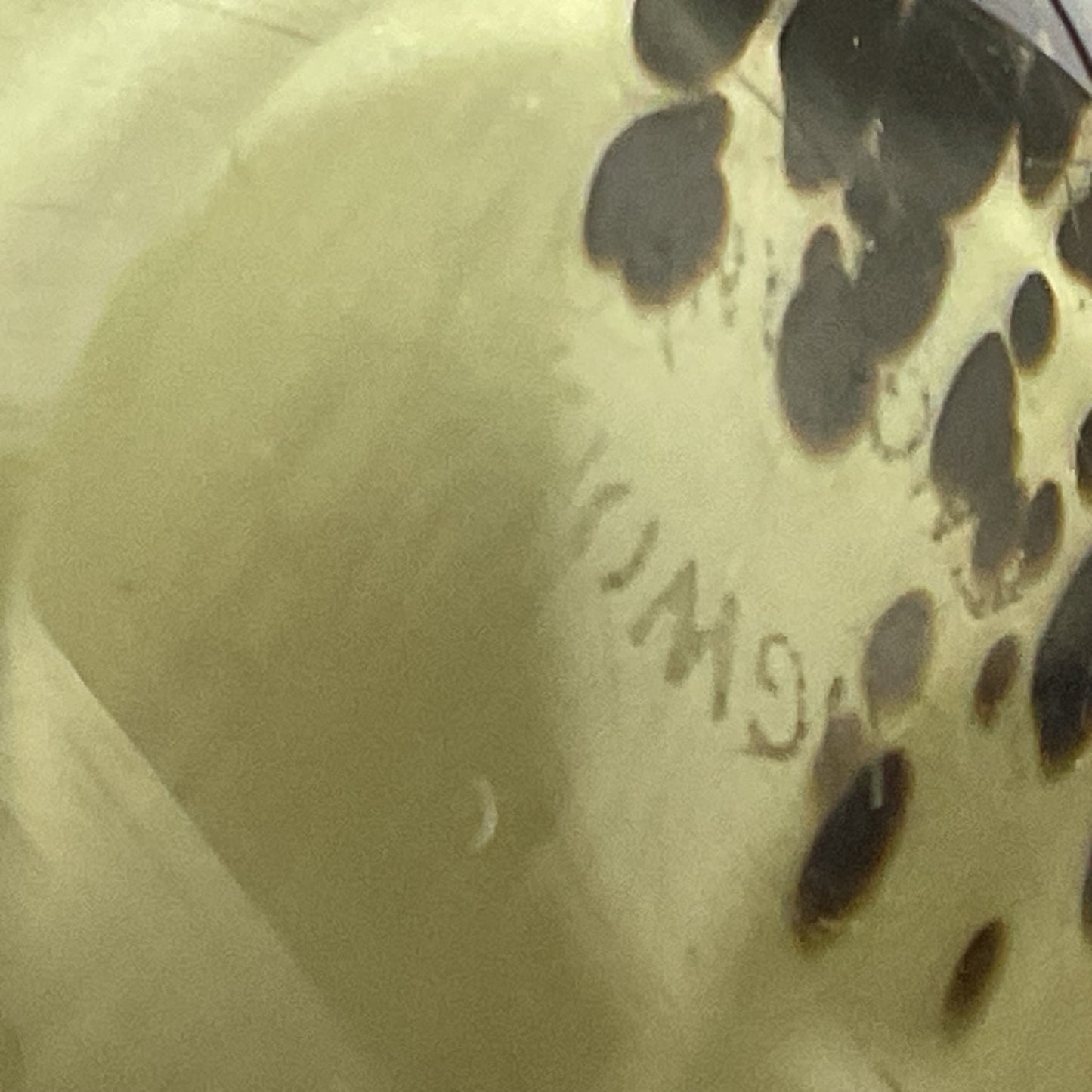 VTG. WEDGEWOOD England Speckled Glass Bird Figurine- 9"