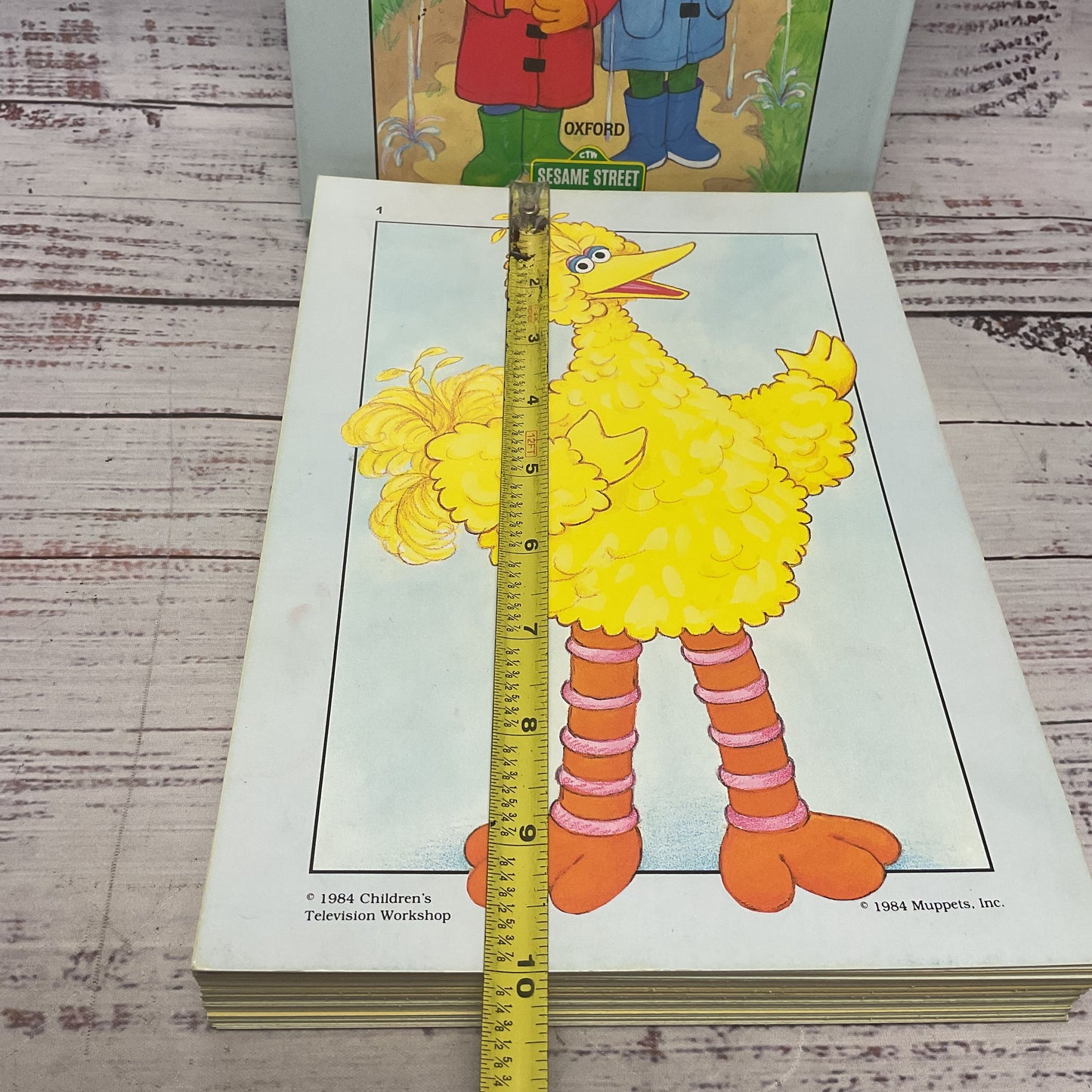 Sesame Street Large Picture Cards English As Second Language 75 Cards