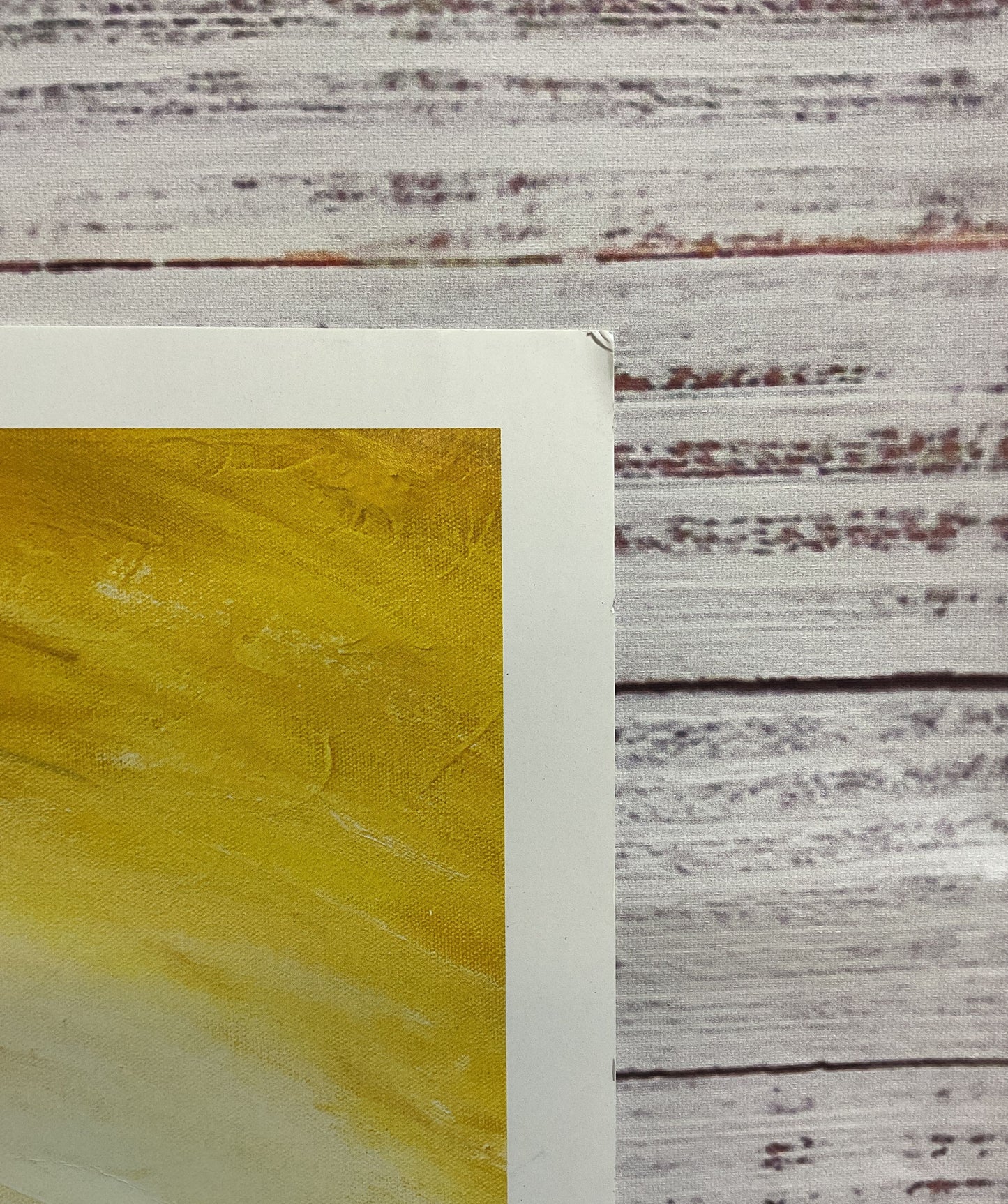 Disney's Star Wars "Rey" Print SIGNED by Christopher Clark