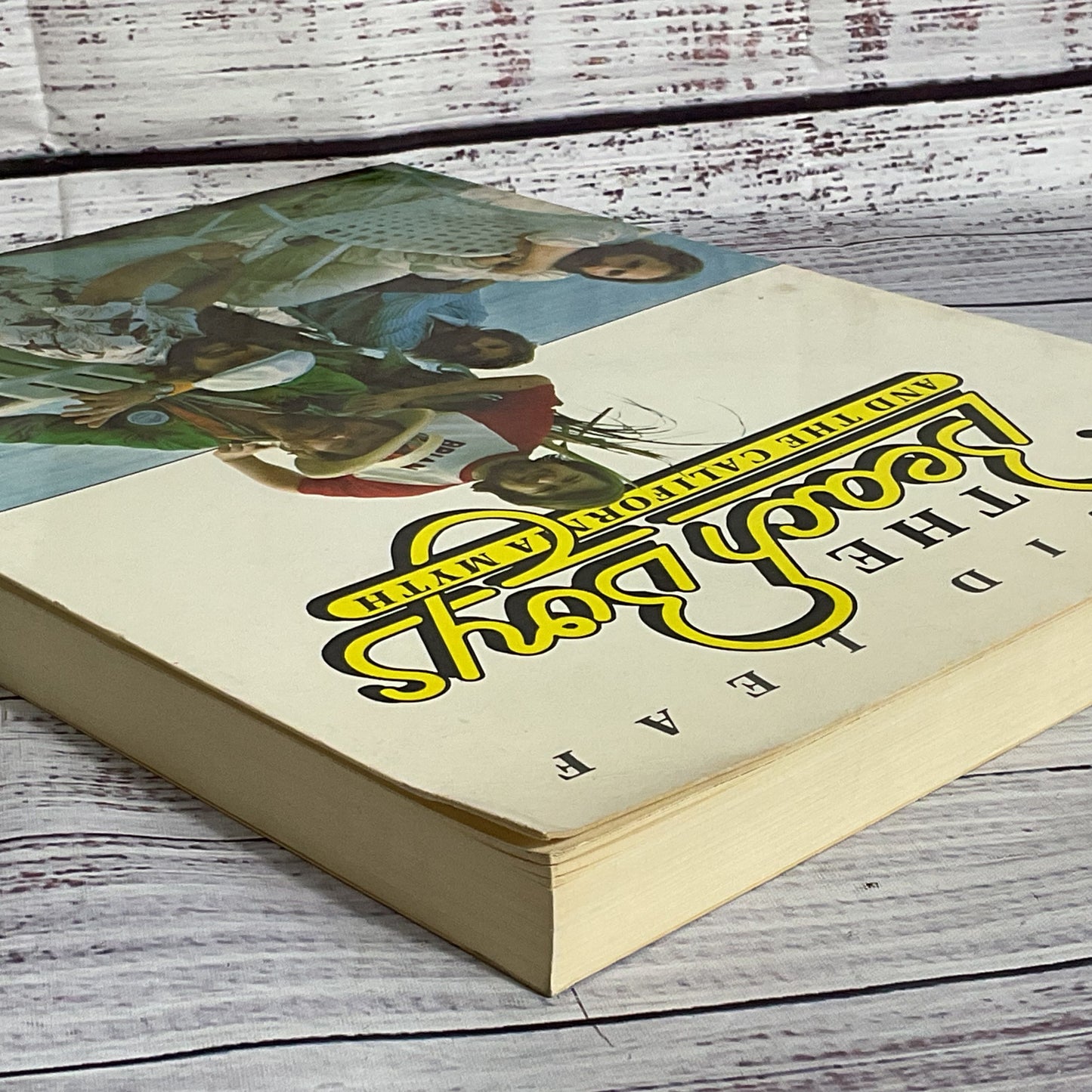 1978 The Beach Boys and the California Myth by David Leaf (2 of 2)