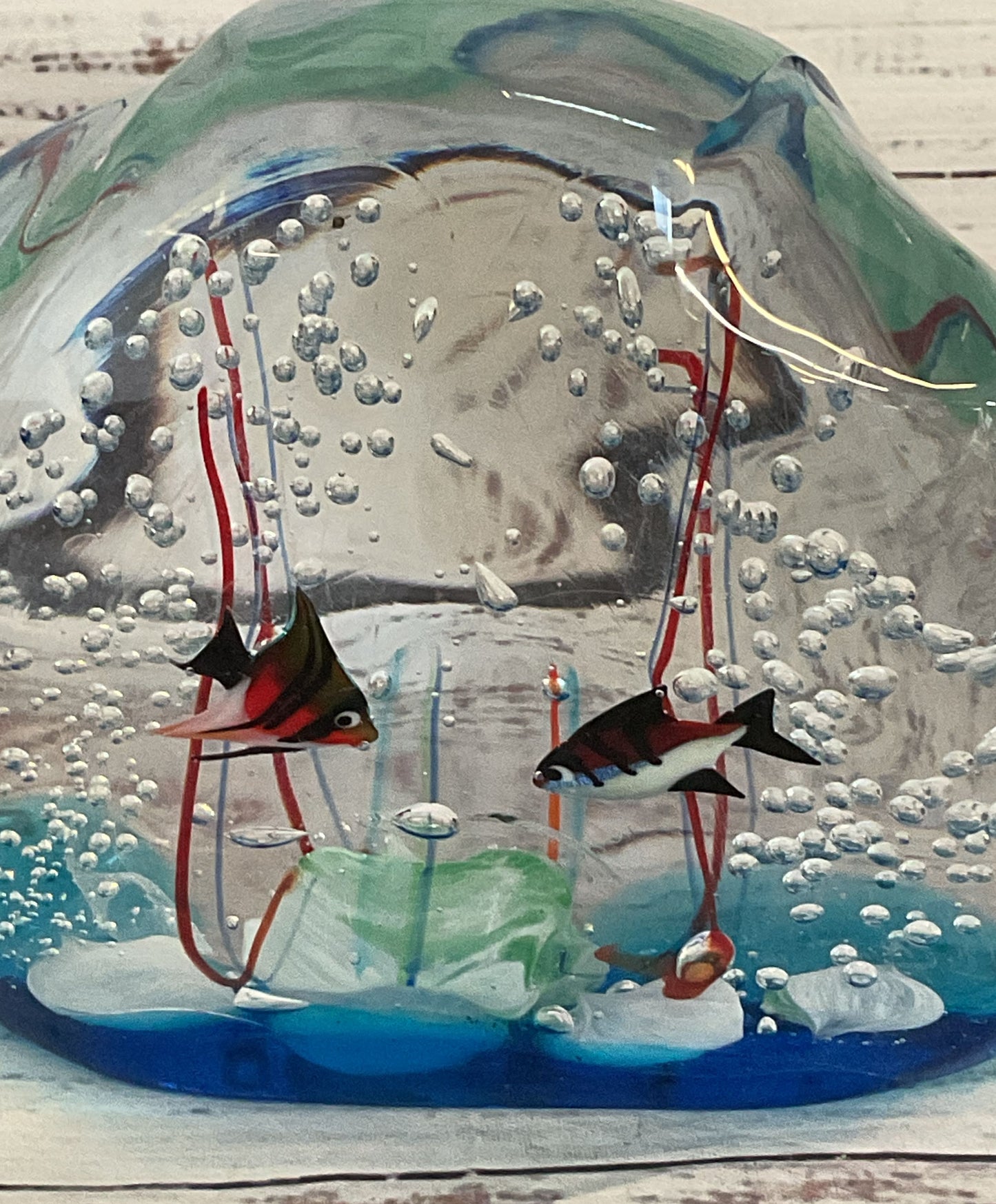 Elio Raffaelli Hand Blown Fish Aquarium Art Glass Paperweight