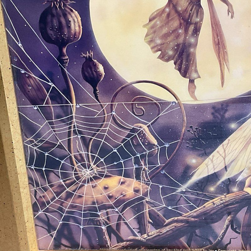 DAVID DELAMARE Spiderweb Dance Print- FRAMED 13.75" X 16.75"