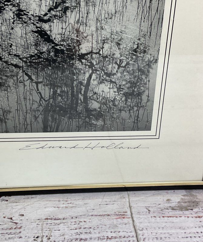 Lonely Tree Framed Print Signed by Edward Holland